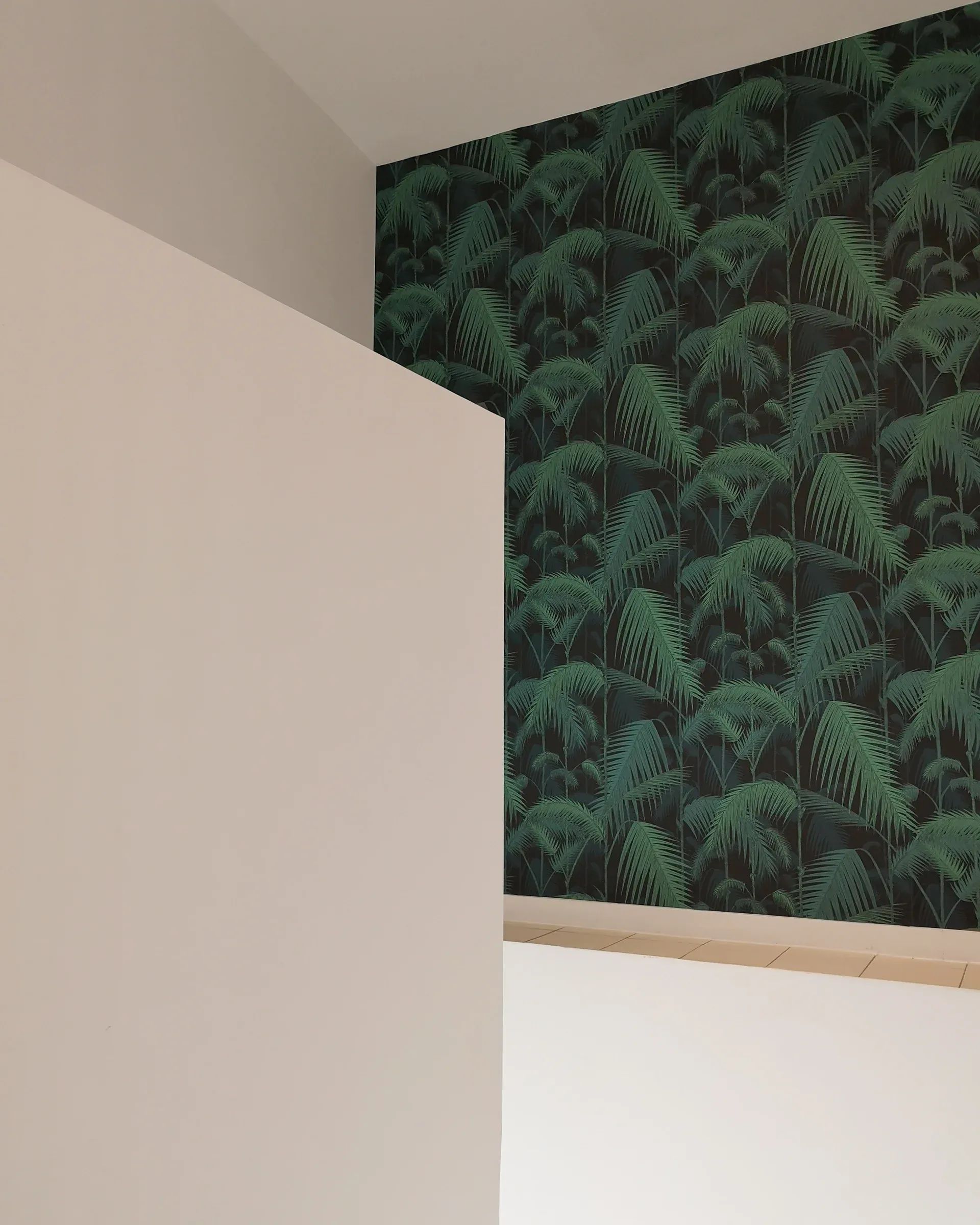 renovation maison marseille tapisserie jungle entree